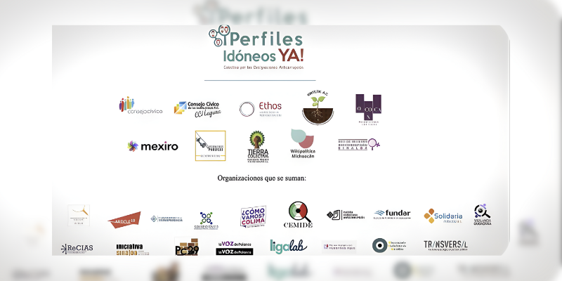 Participación en el Colectivo "Perfiles Idóneos Ya"